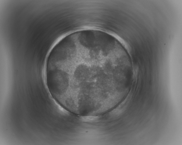 X0000111421294200907271135