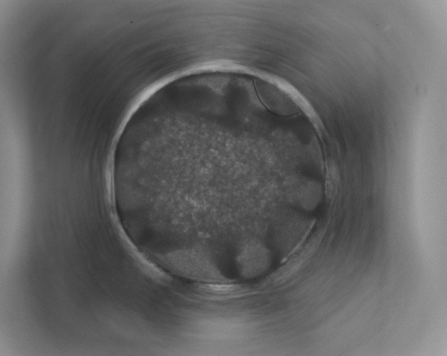 X0000111421295200907271135