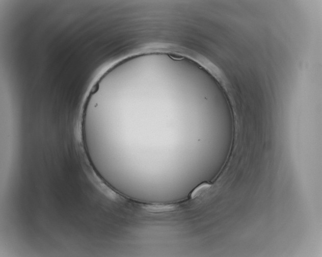 X0000111421296200907271135