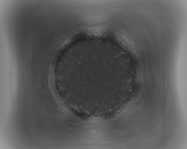 X0000111421297200907271134