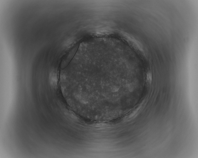 X0000111421300200907271134