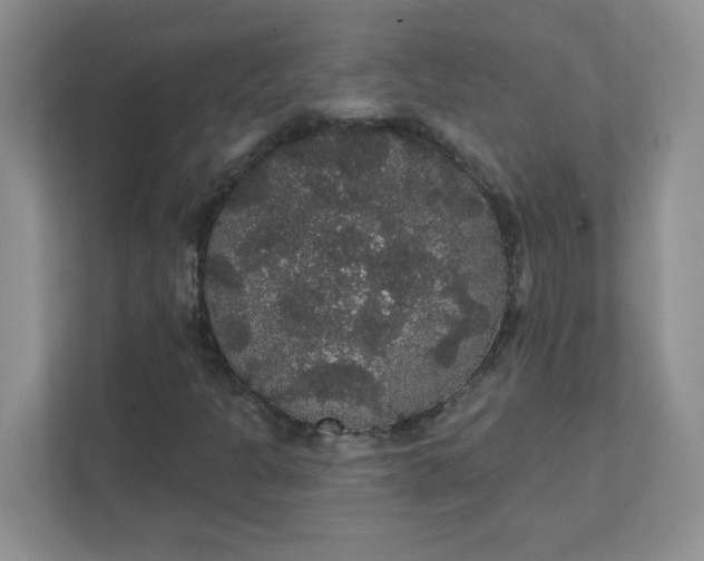 X0000111421301200907271134