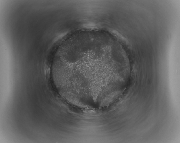 X0000111421302200907271134