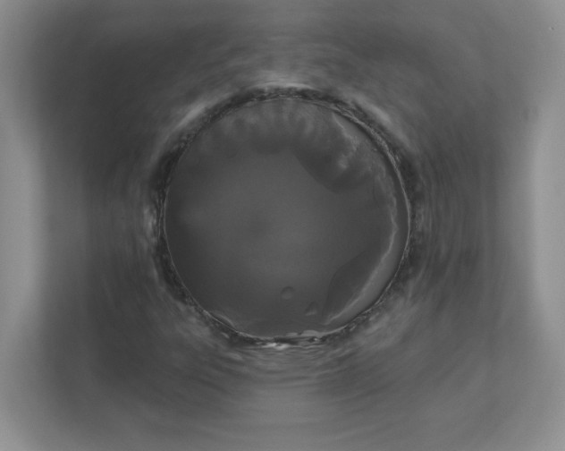 X0000111421303200907271134