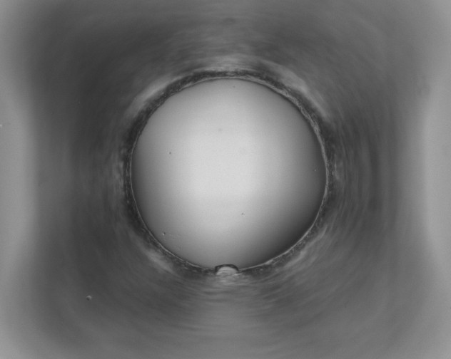 X0000111421304200907271134