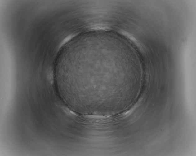 X0000111421306200907271135