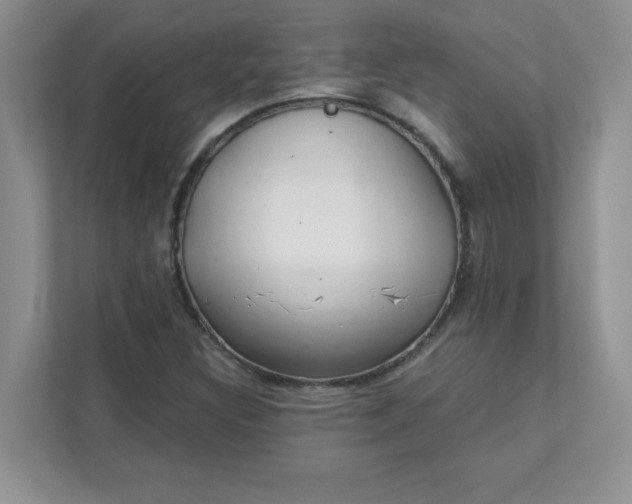 X0000111421308200907271135