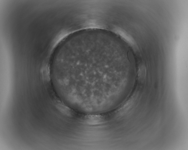 X0000111421310200907271135