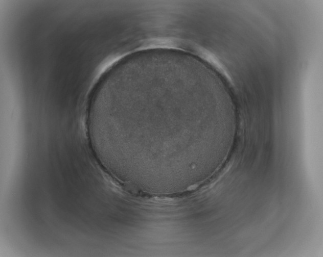 X0000111421312200907271135