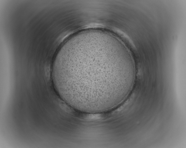 X0000111421313200907271135