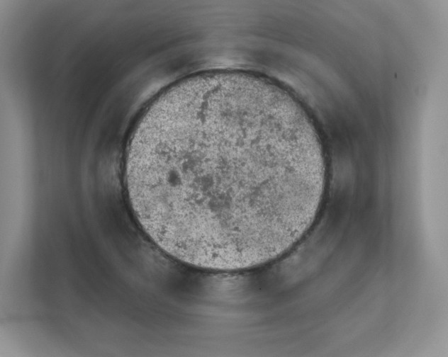 X0000111421314200907271135