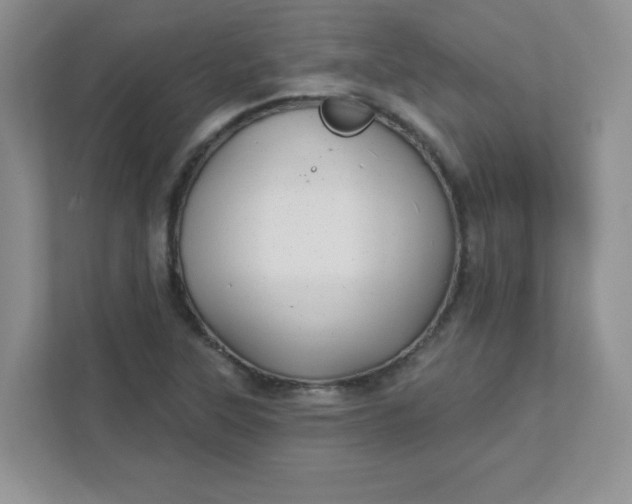 X0000111421315200907271135