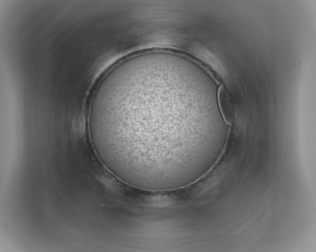 X0000111421316200907271135