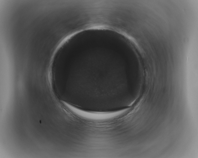 X0000111421319200907271135