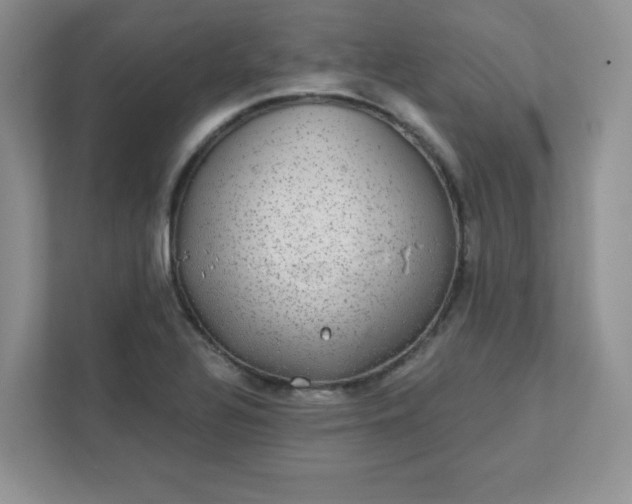 X0000111421320200907271135