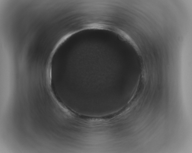 X0000111421323200907271135