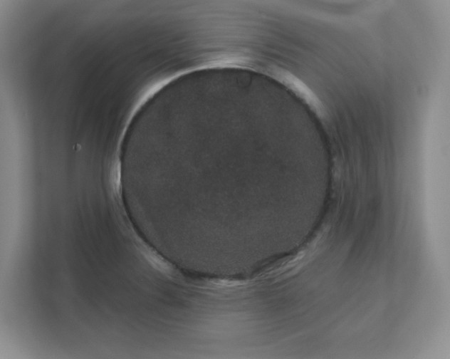 X0000111421324200907271135