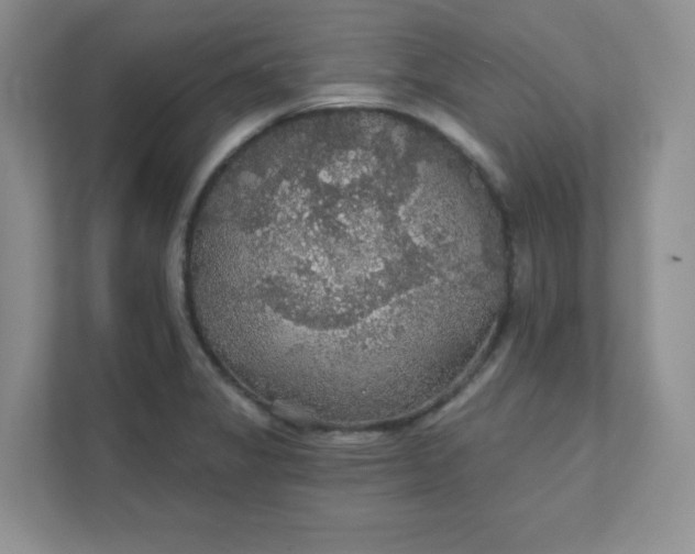 X0000111421325200907271135