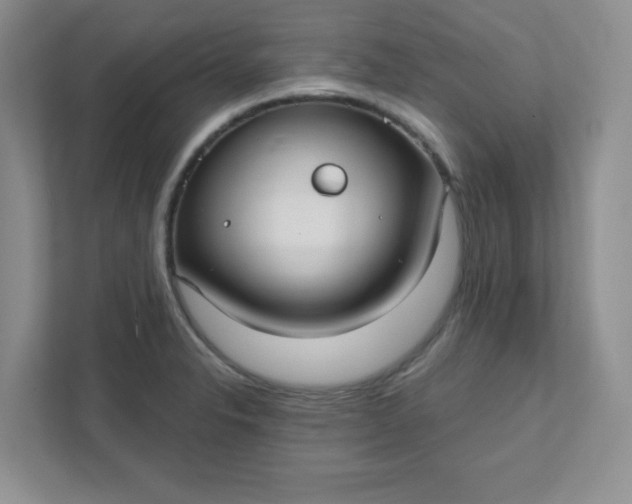 X0000111421326200907271135