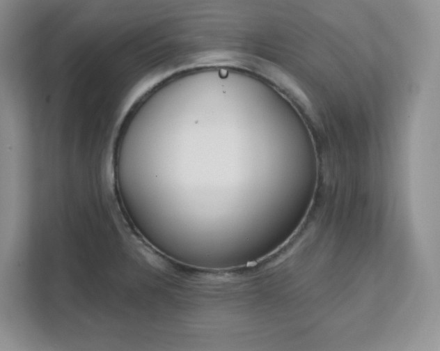 X0000111421328200907271135