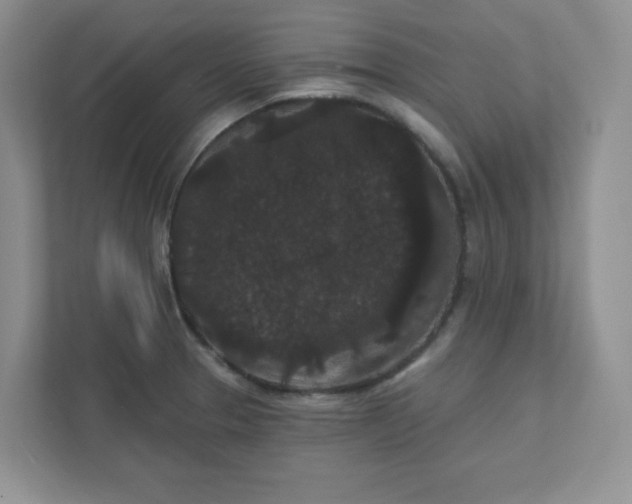 X0000111421329200907271135