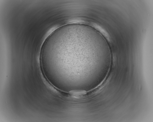 X0000111421330200907271135