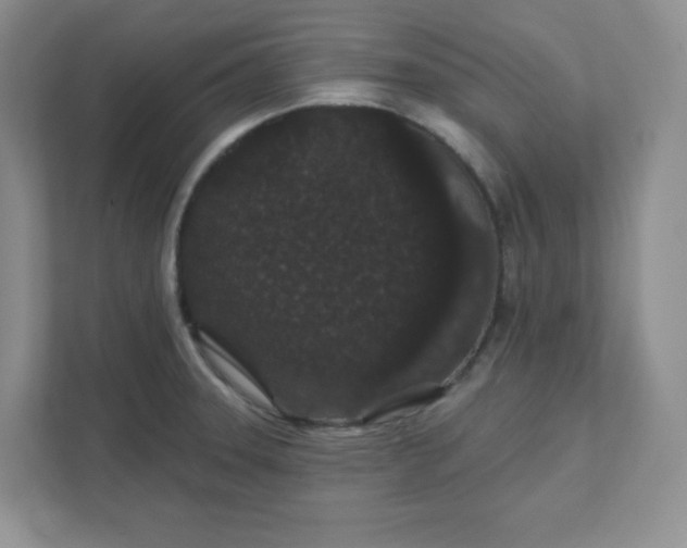 X0000111421331200907271135