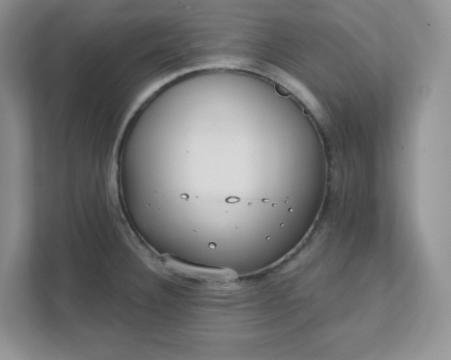 X0000111421332200907271135