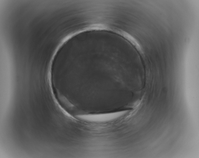 X0000111421334200907271135