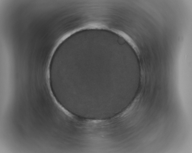 X0000111421335200907271135