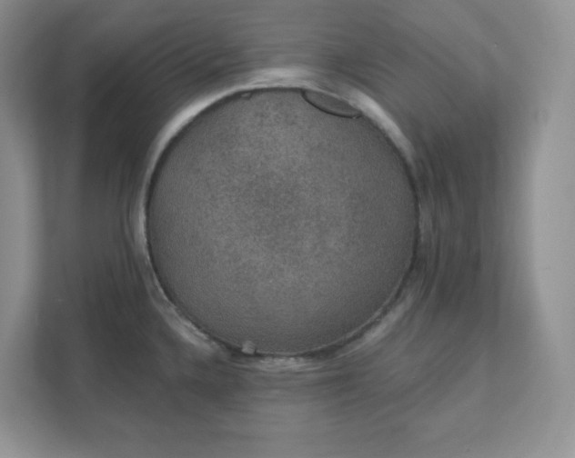 X0000111421336200907271135