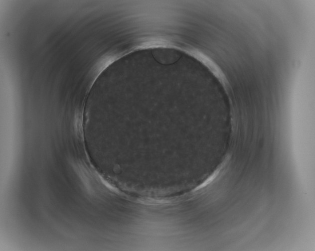 X0000111421337200907271135