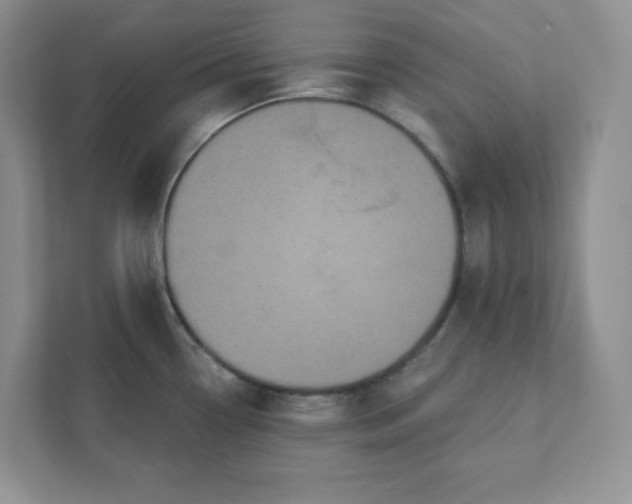 X0000111421338200907271135