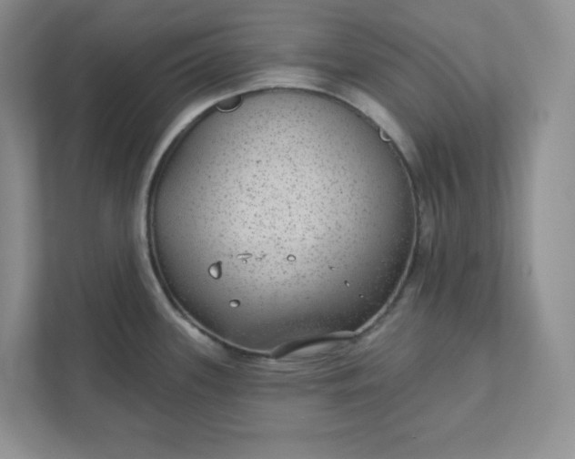 X0000111421339200907271135