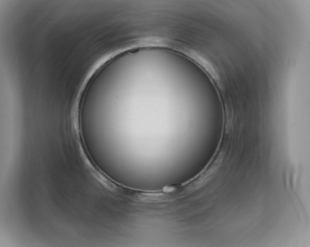 X0000111421342200907271135