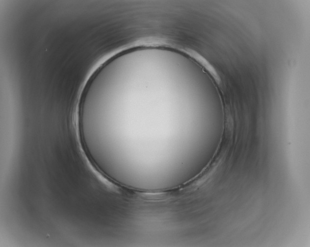 X0000111421343200907271135