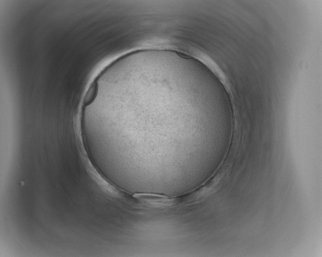 X0000111421344200907271135