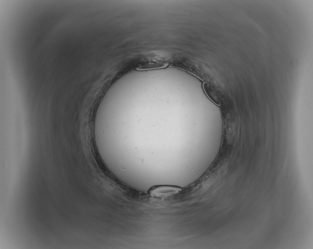 X0000111421345200907271134