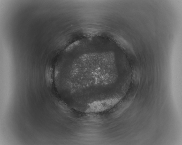 X0000111421346200907271134