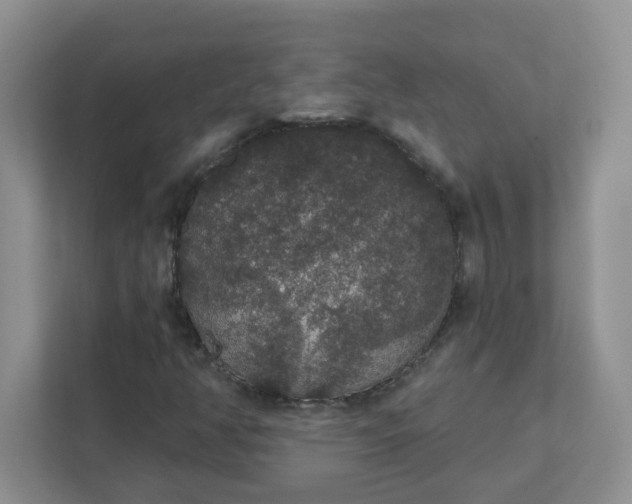 X0000111421350200907271134