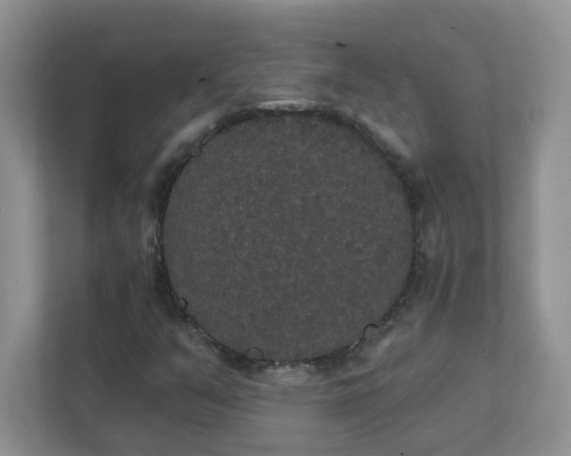 X0000111421351200907271134