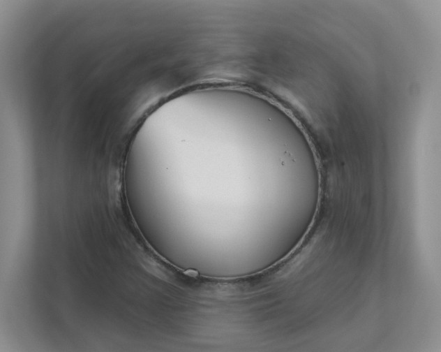 X0000111421355200907271134