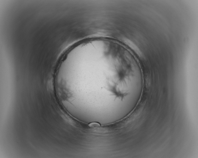 X0000111421356200907271134