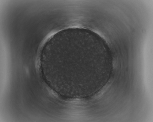 X0000111421359200907271134