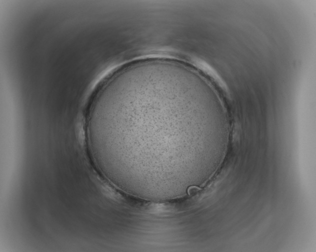 X0000111421360200907271134