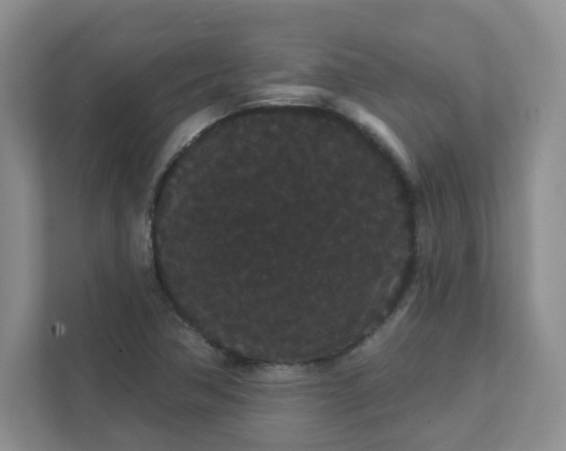 X0000111421362200907271134