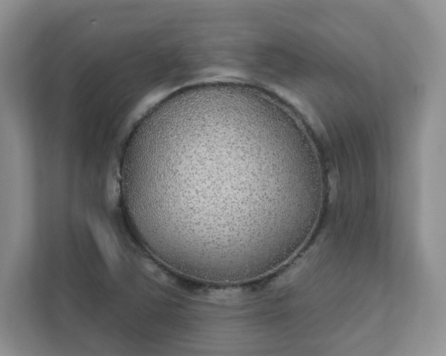 X0000111421363200907271134