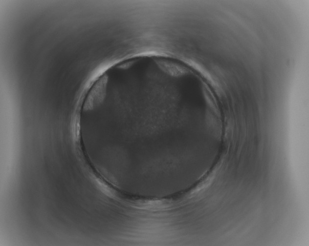 X0000111421367200907271134