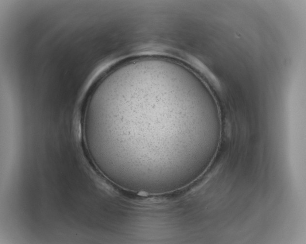 X0000111421368200907271134