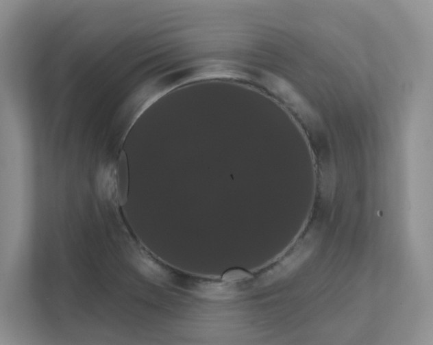 X0000111421369200907271134